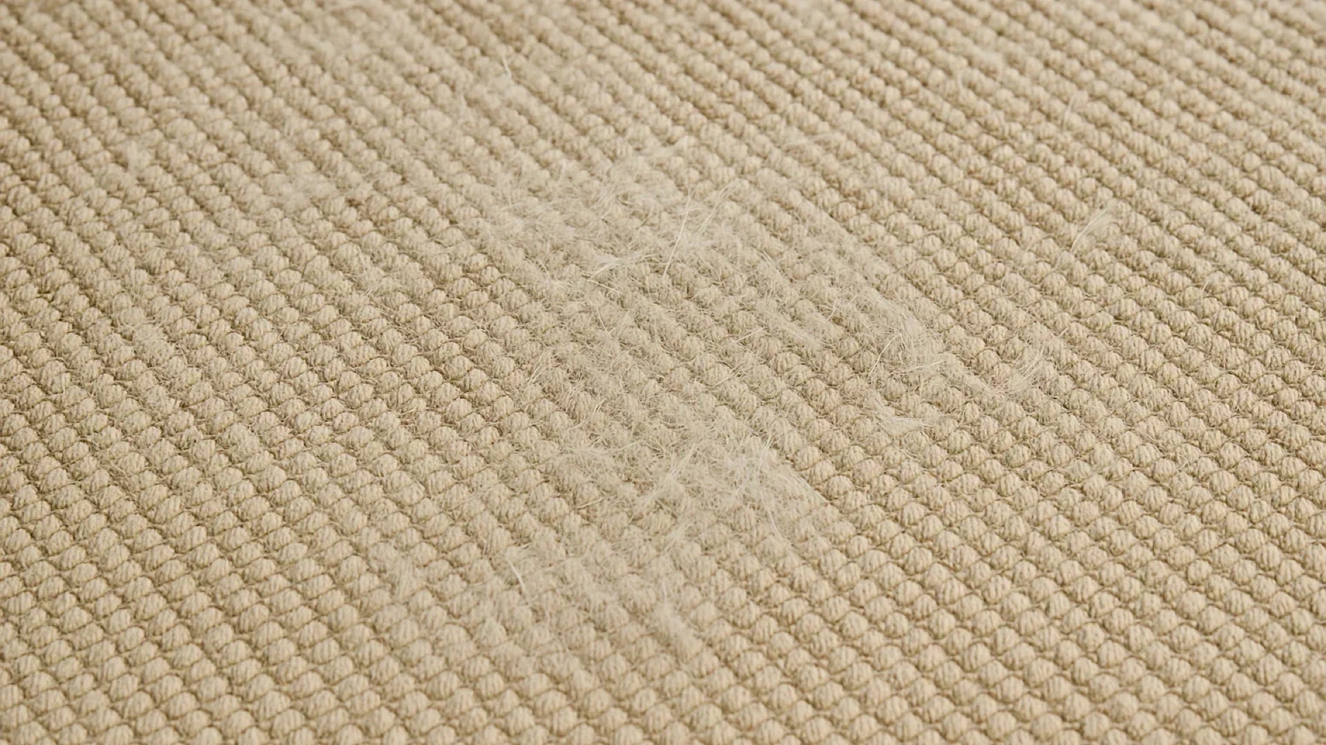 Rug Maintenance for Homes with Pets: Odors, Fur & Accidents