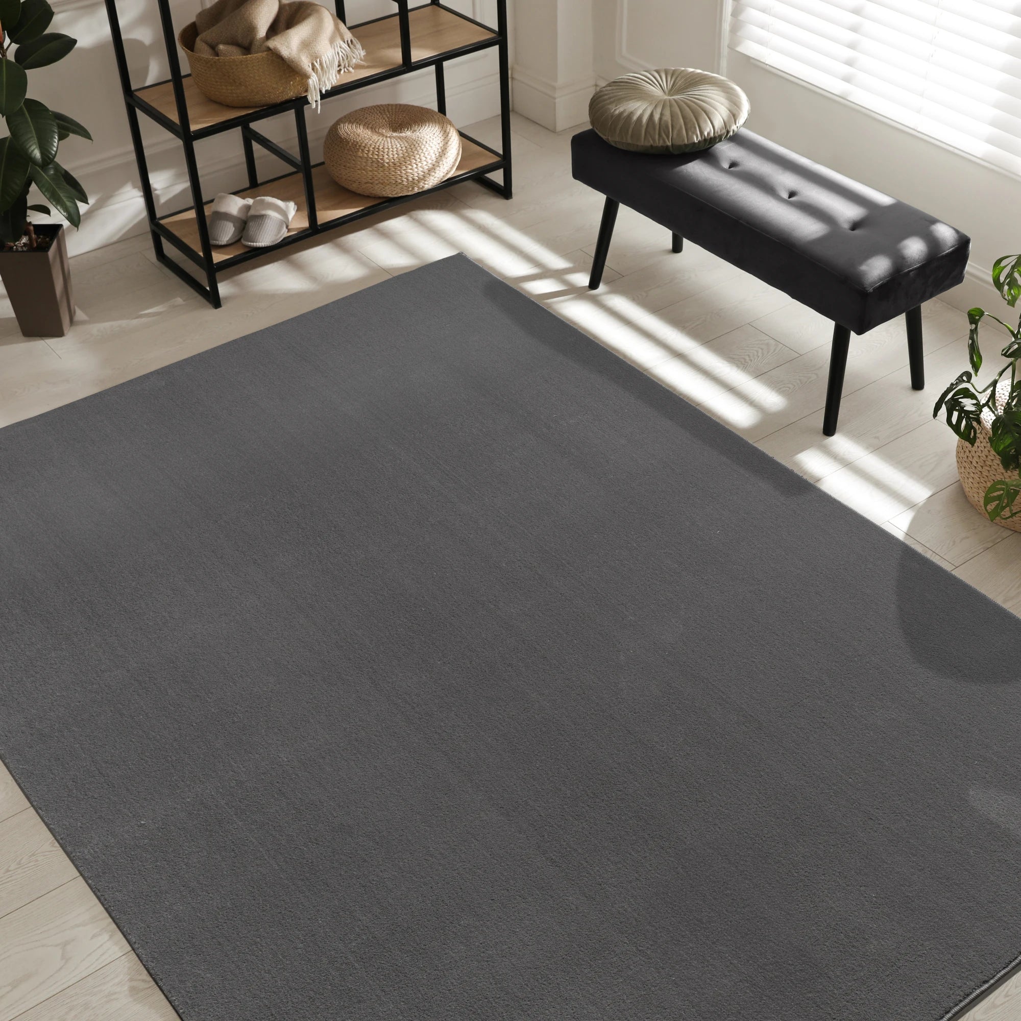Modern Solid Gray Carpet