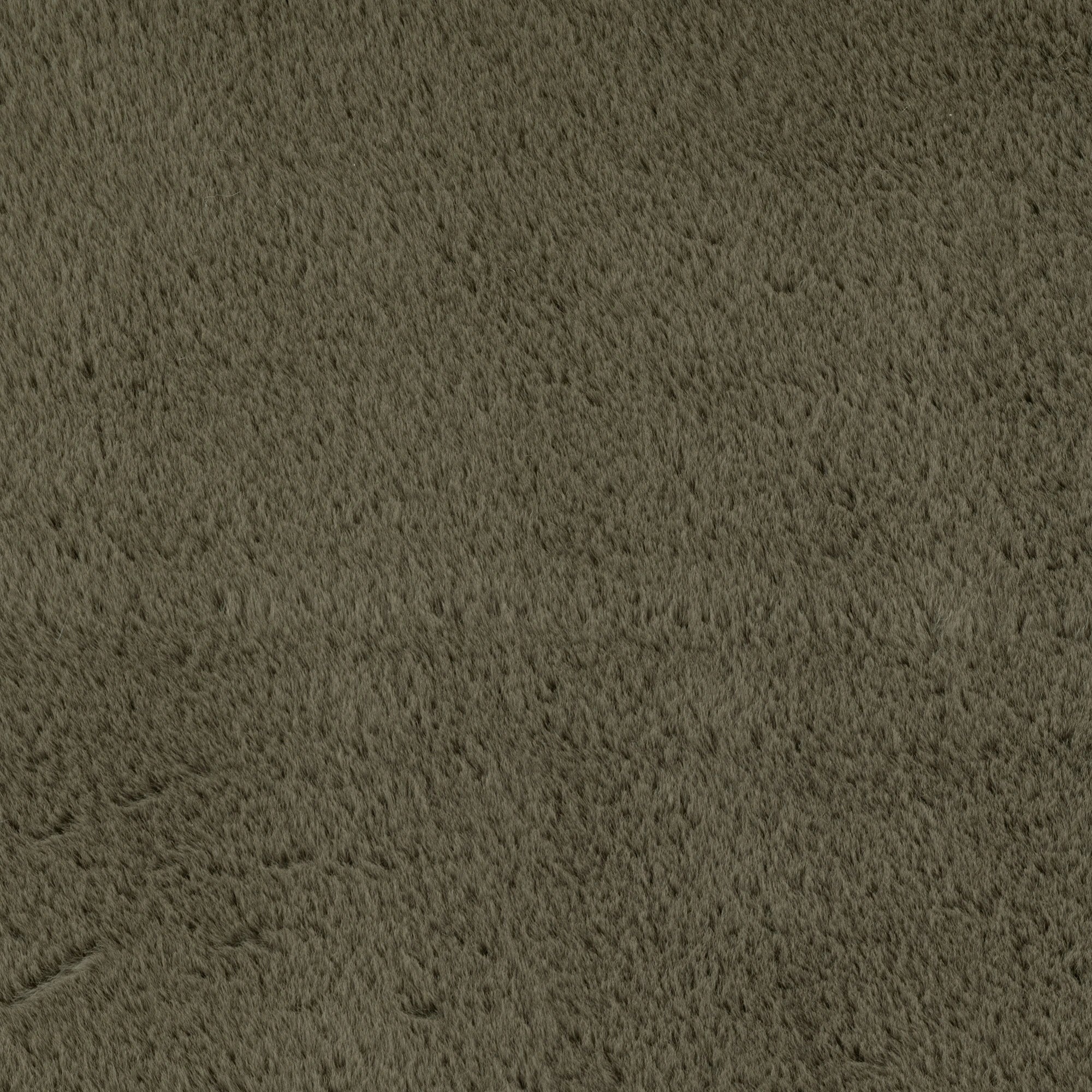 Solid Color Elegant Premium | Green Rug