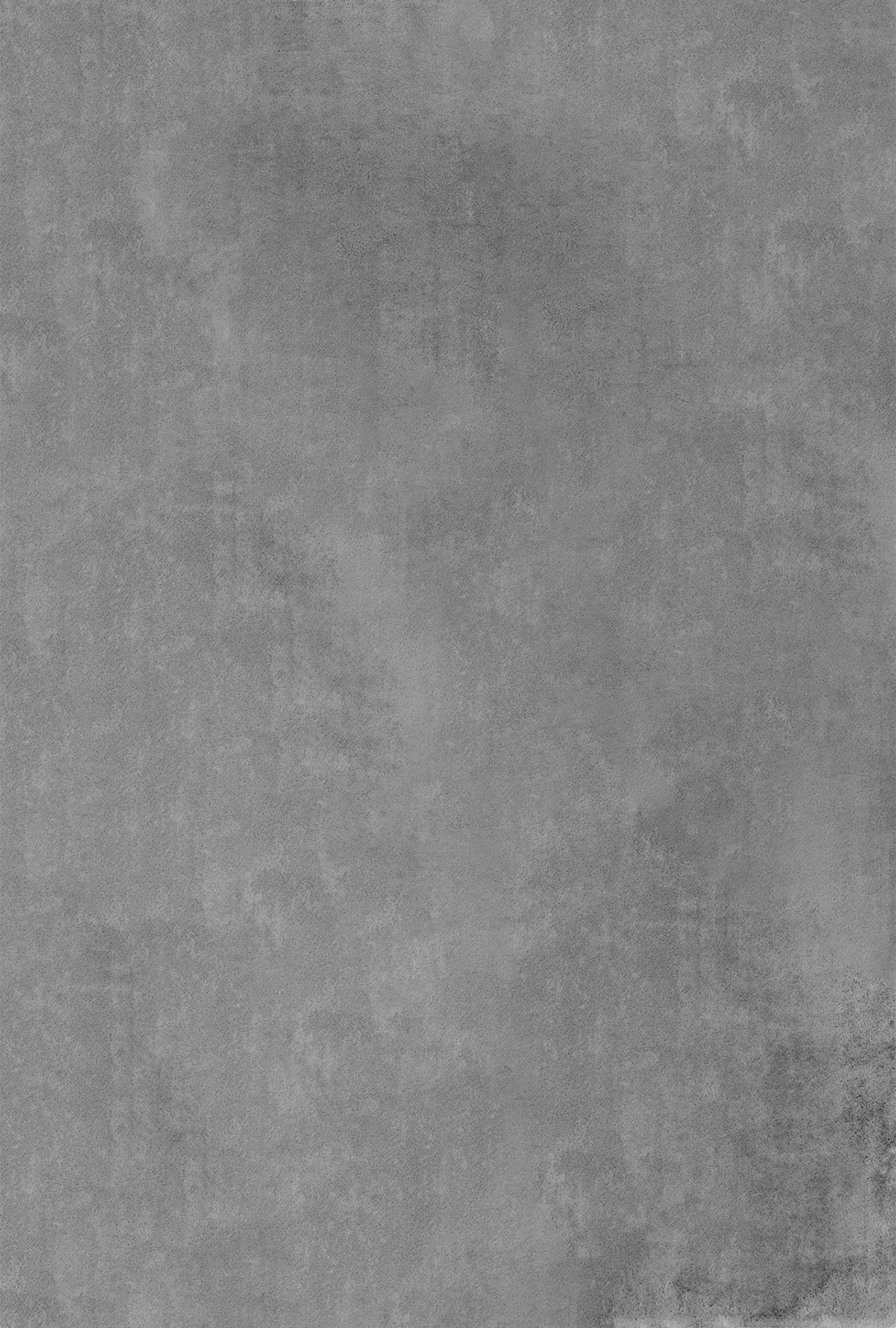 Solid Color Elegant Premium | Silver Rug