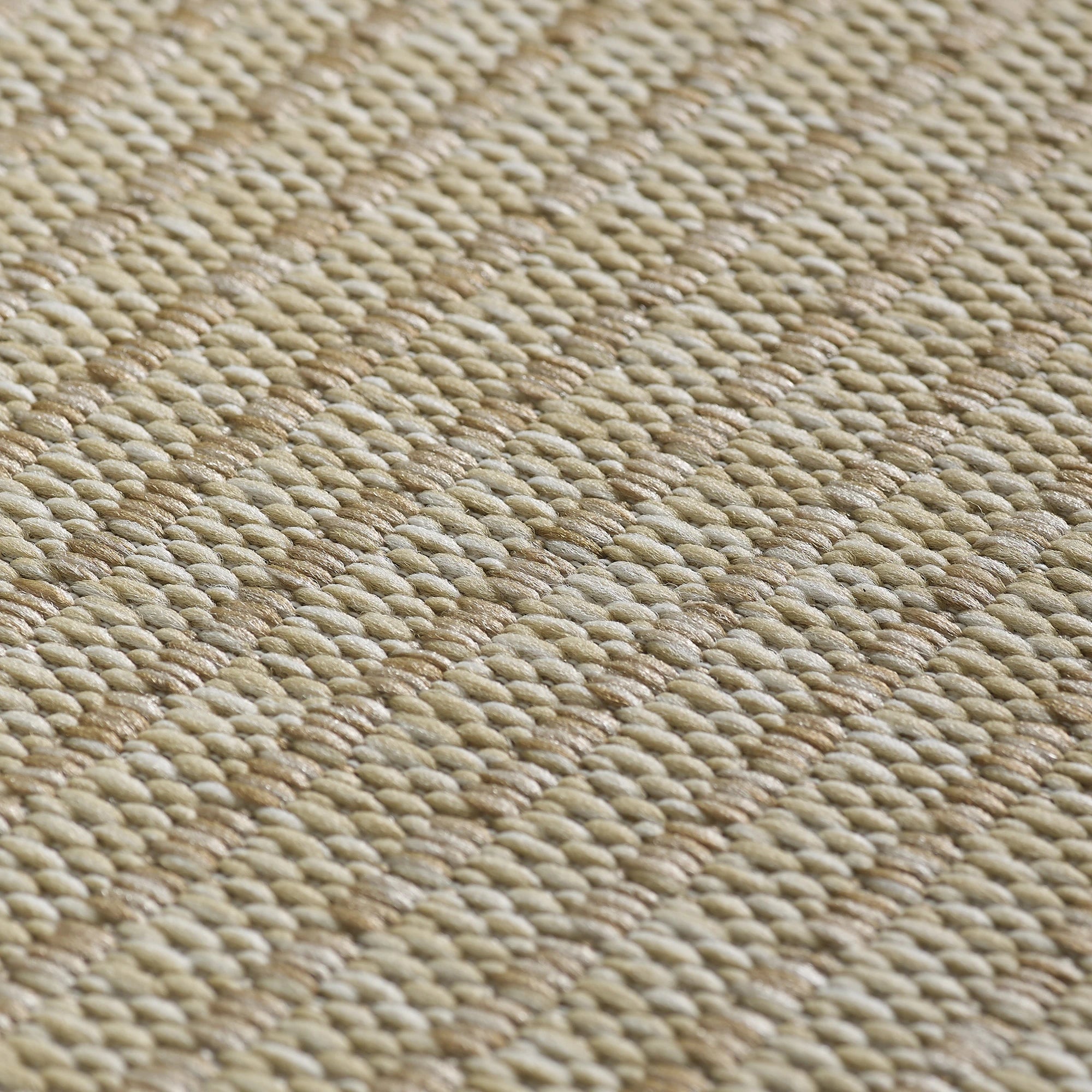Flatweave Minimalist Woven Area Rug | Beige
