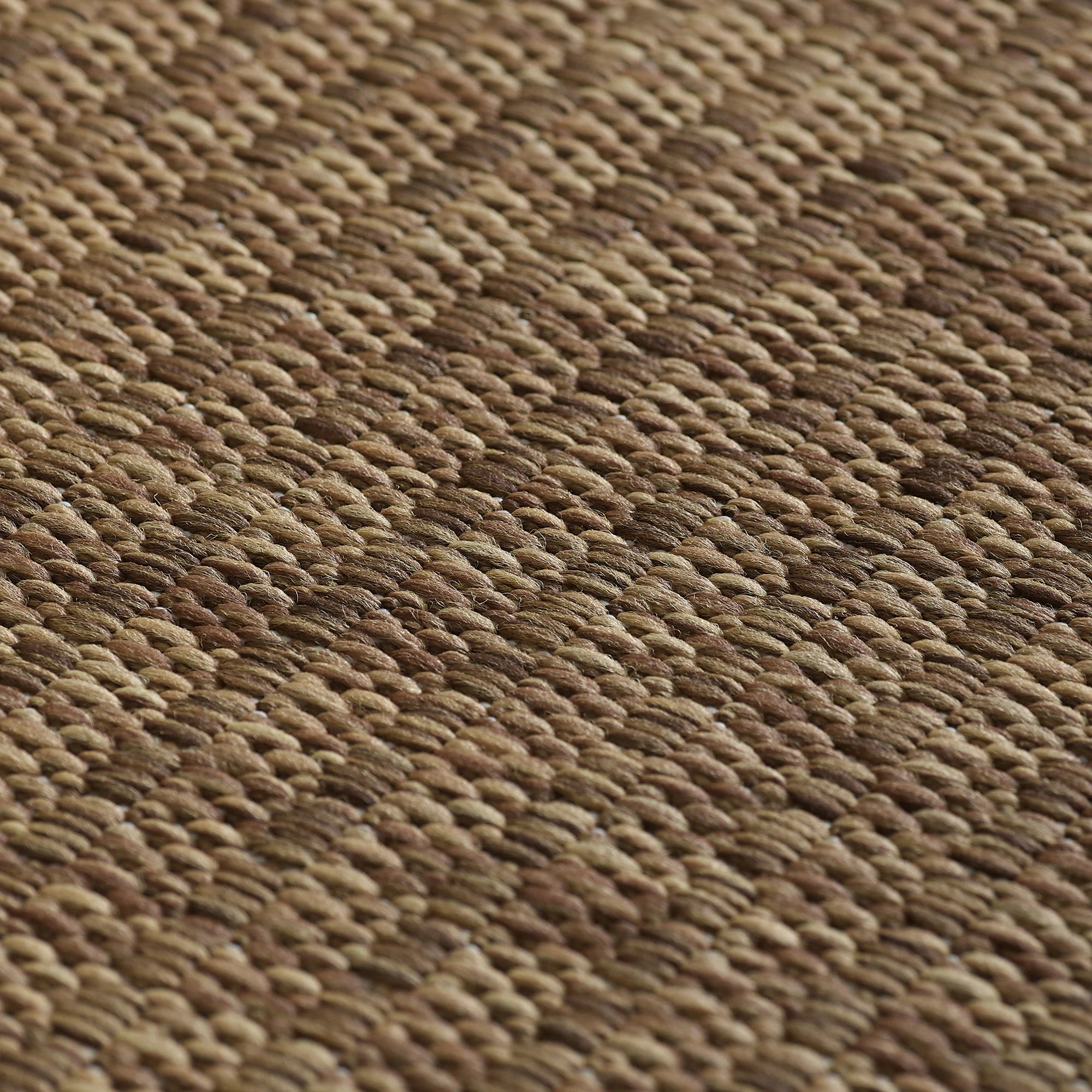 Flatweave Minimalist Woven Area Rug | Brown