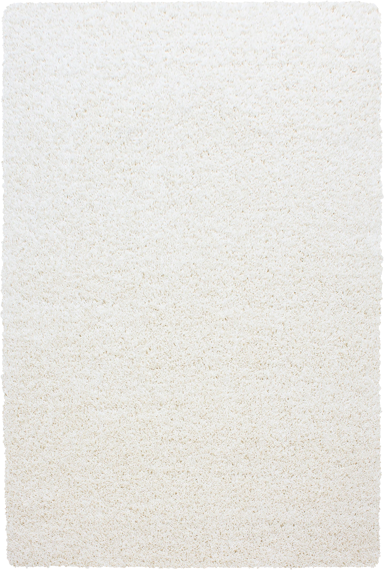 Clean Color Premium Neutral Floor | Cream