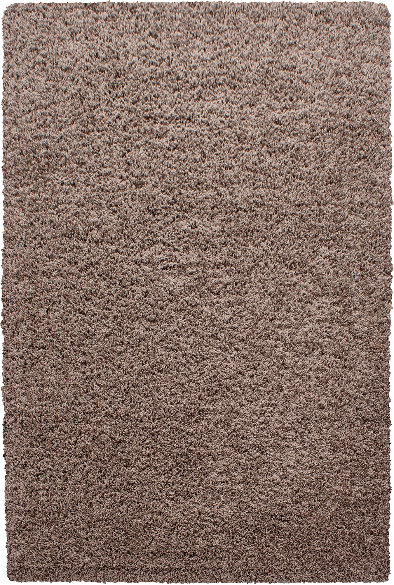 Clean Color Premium Neutral Floor | Mocha
