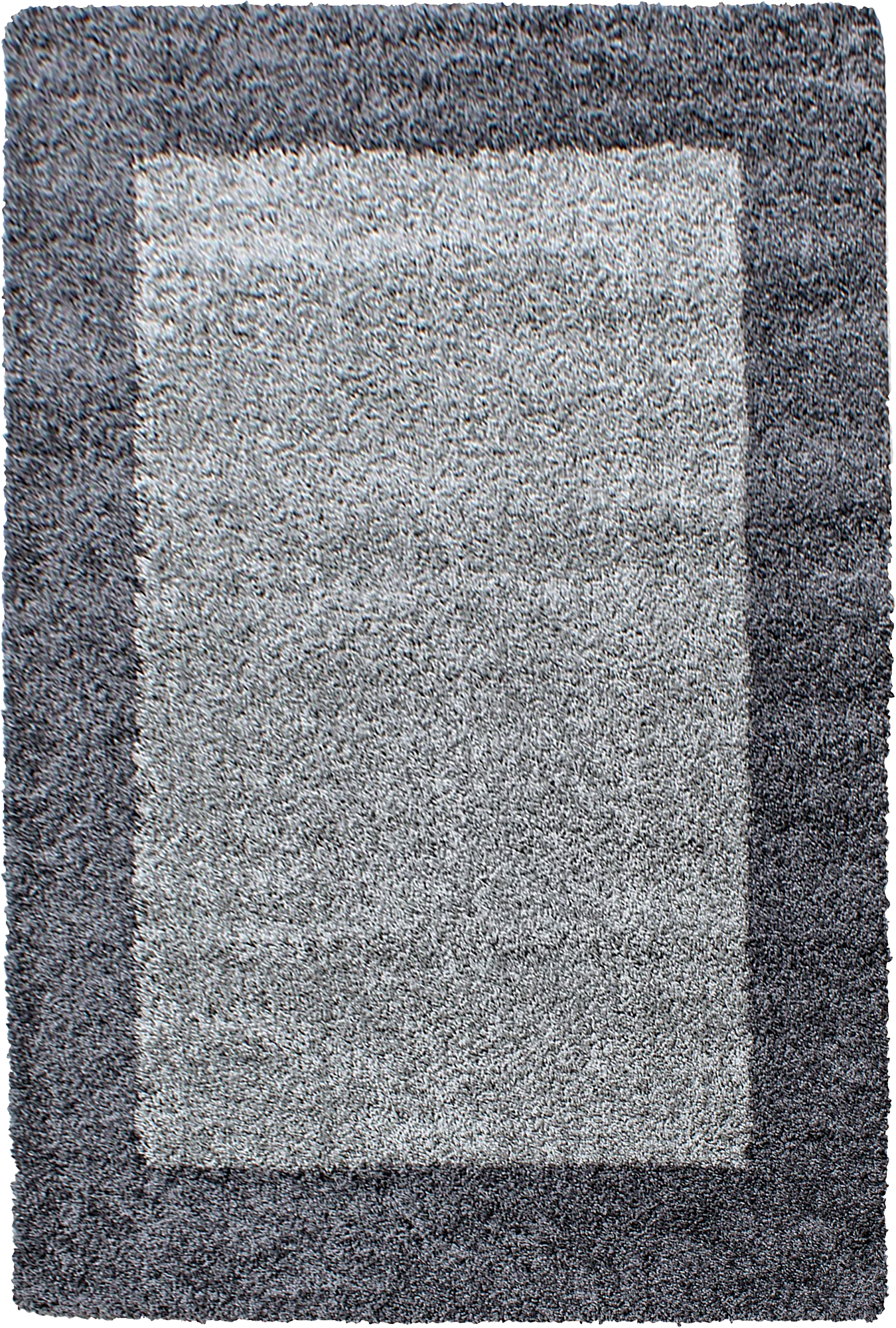 Bordered Elegant Area Rug Modern | Gray