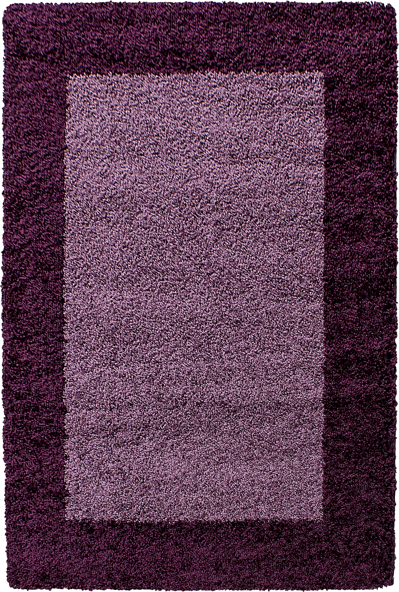 Bordered Elegant Area Rug Modern | Violet