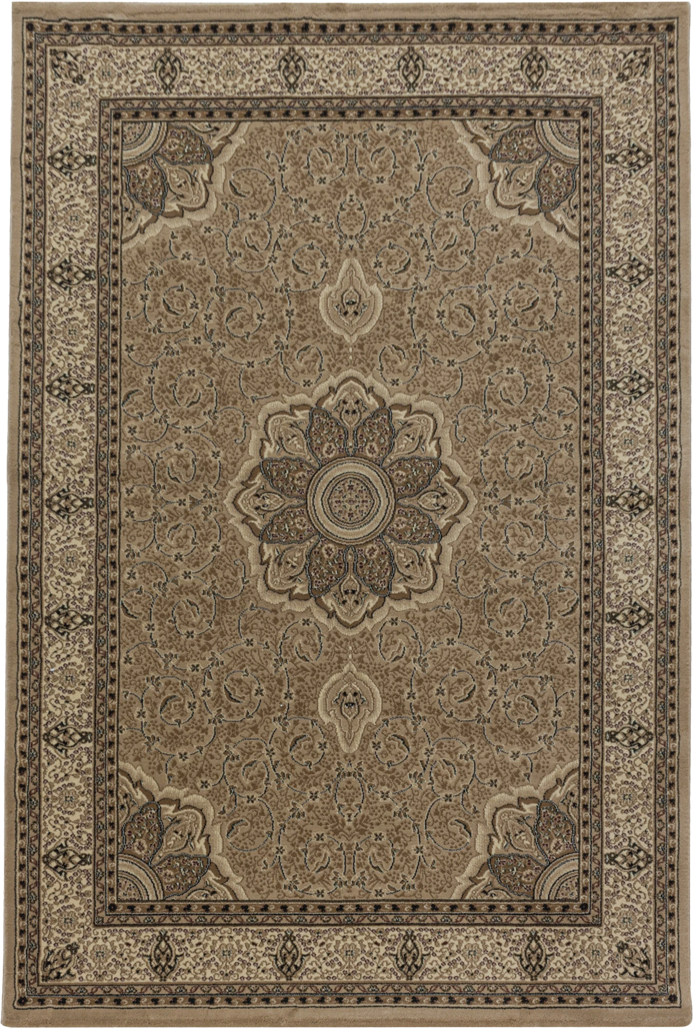 Classic Persian Style Bordered Rug | Beige