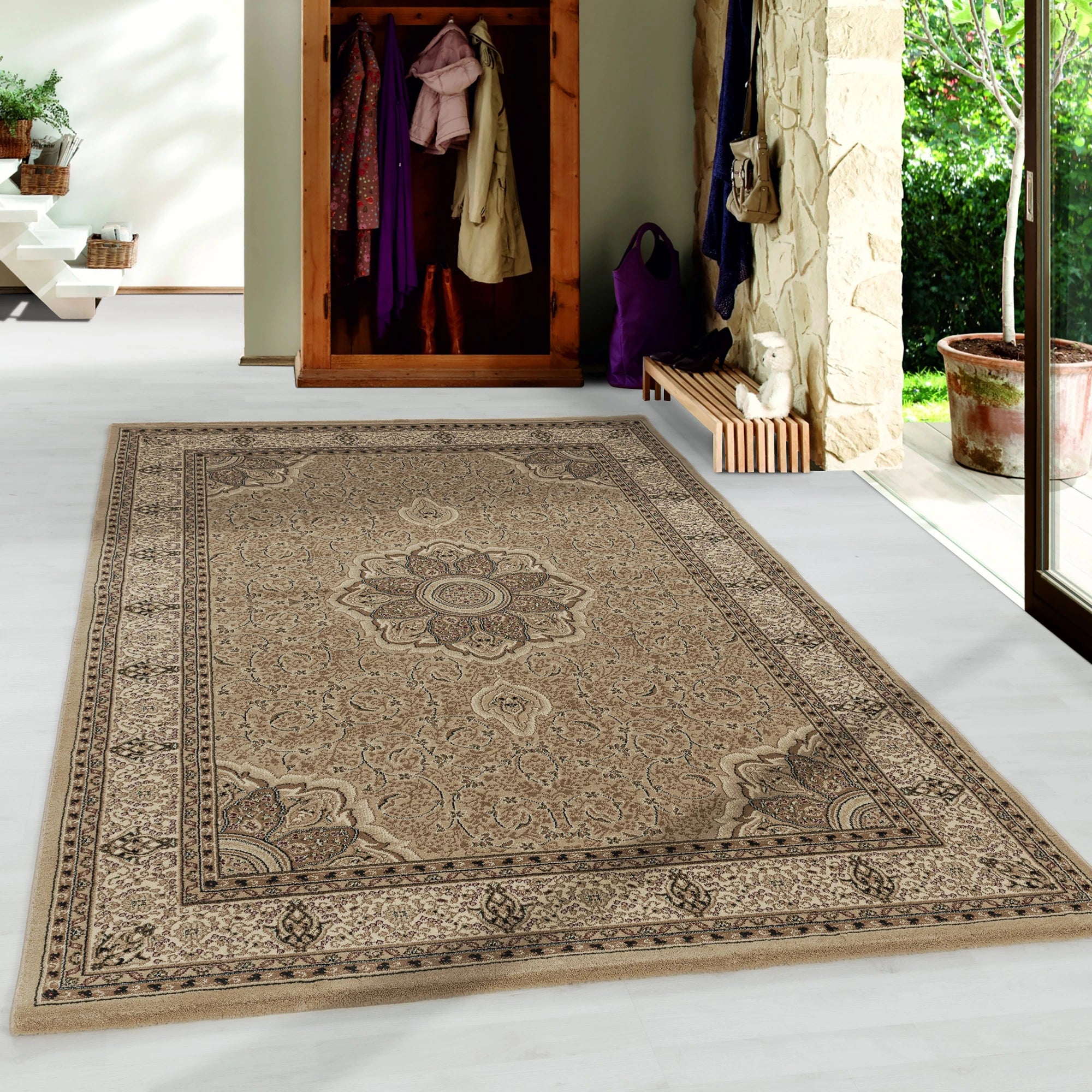 Classic Persian Style Bordered Rug | Beige