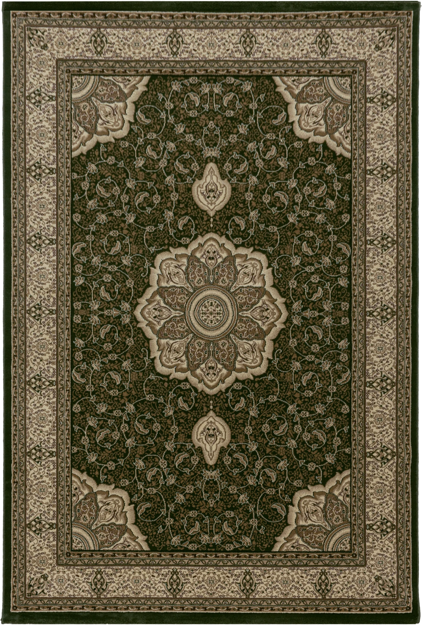 Classic Persian Style Bordered Rug | Green
