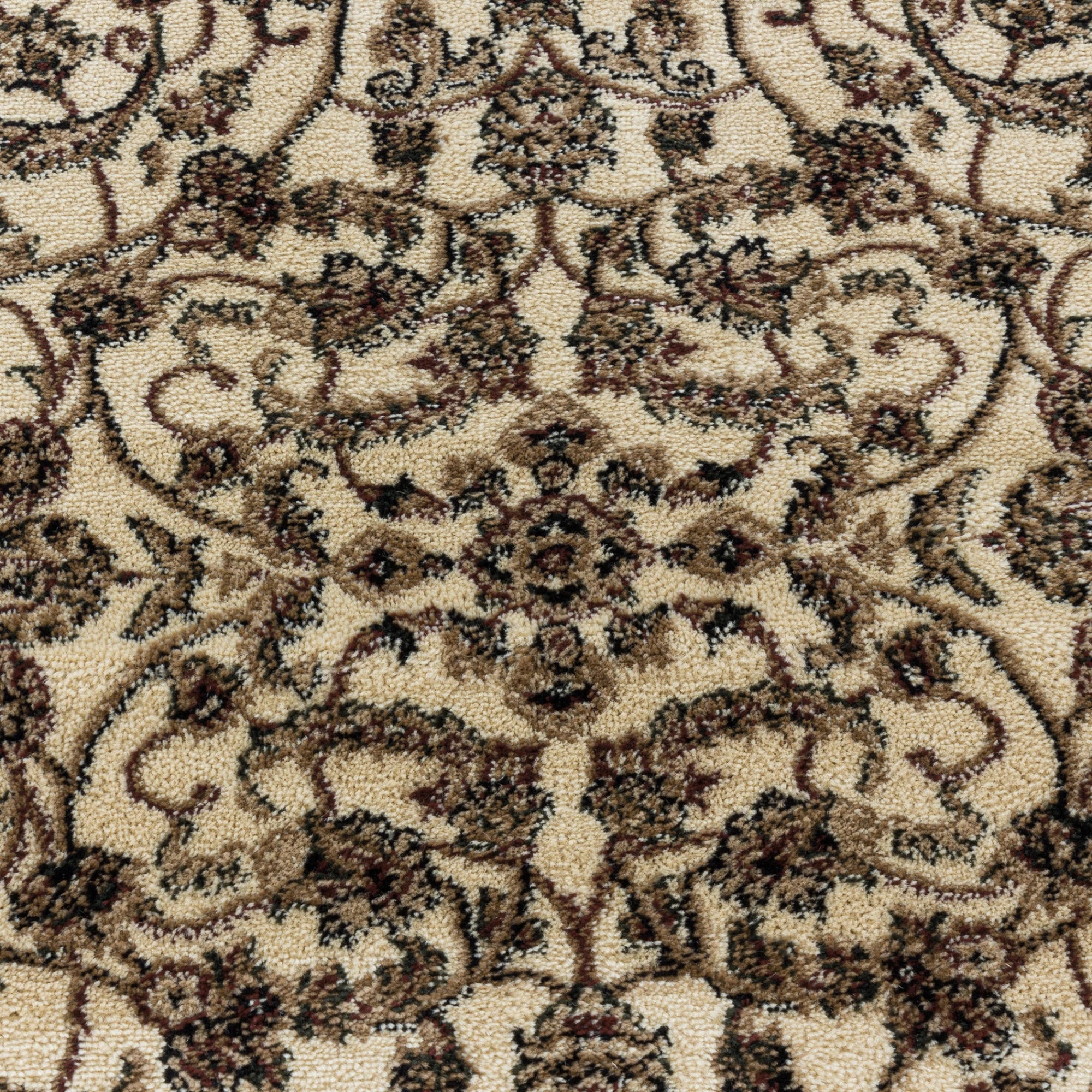 Classic Botanical Vine Bordered Area Rug | Cream