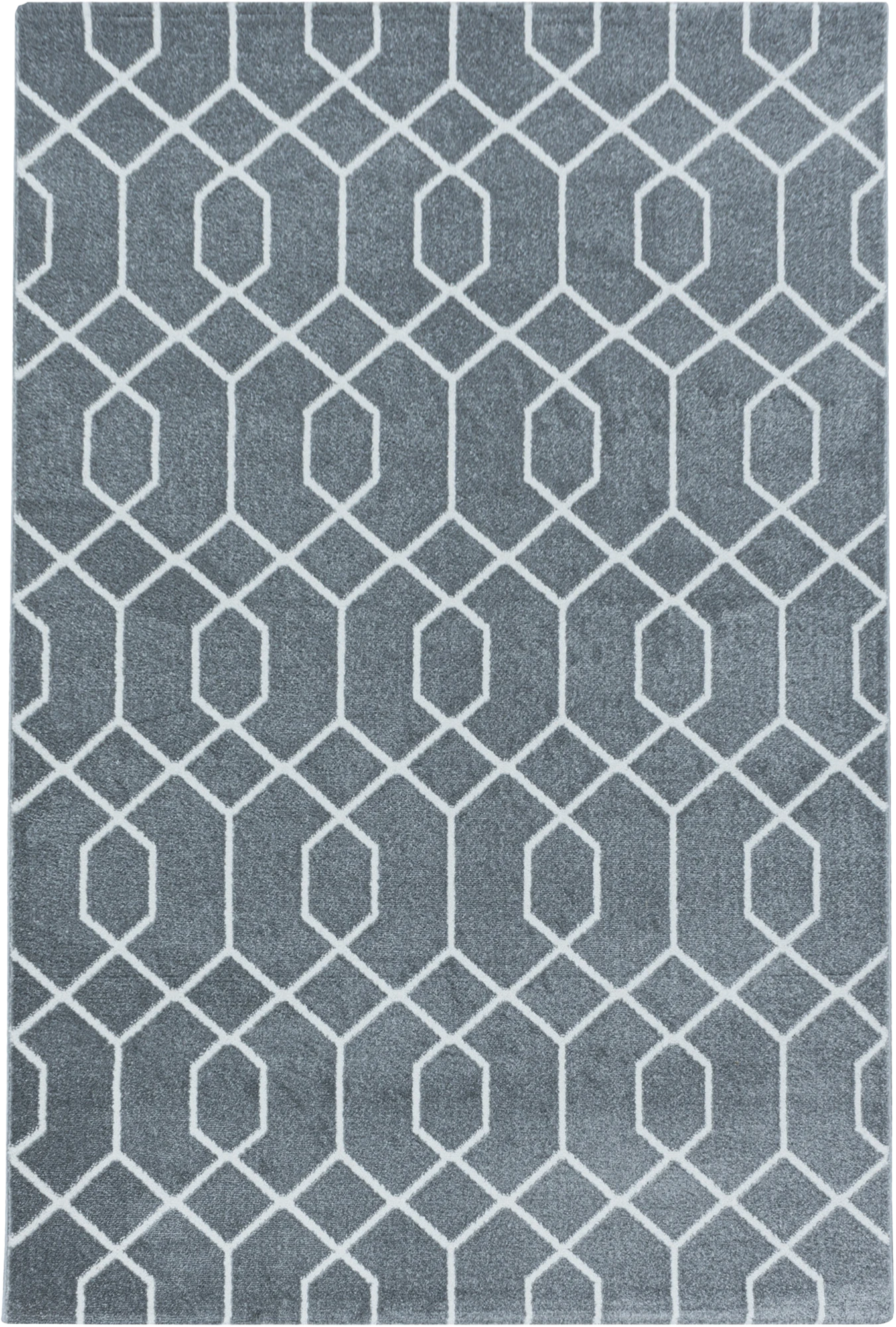 Geometric Hexagon Trellis Area Rug - Gray