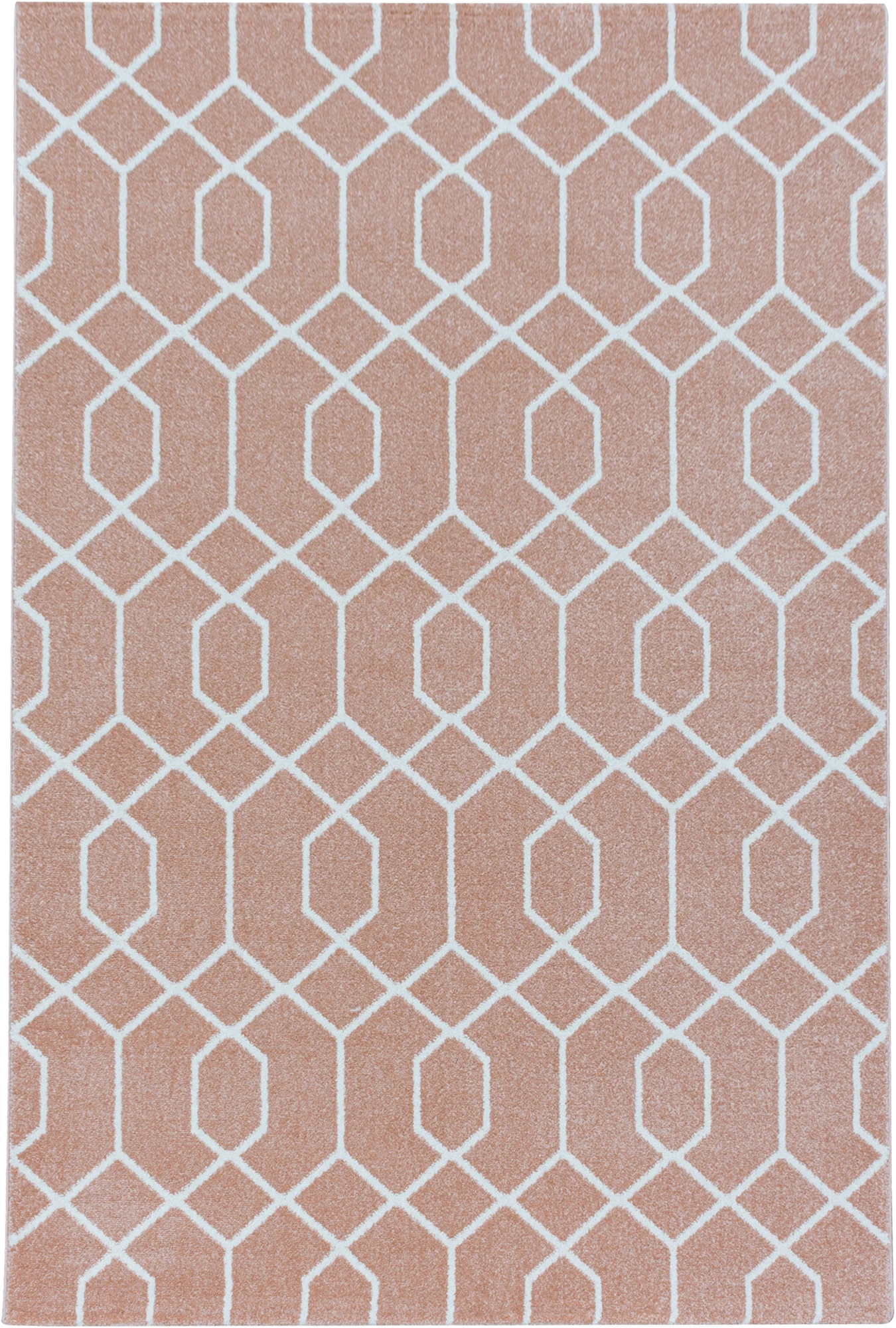 Geometric Hexagon Trellis Area Rug - Rose