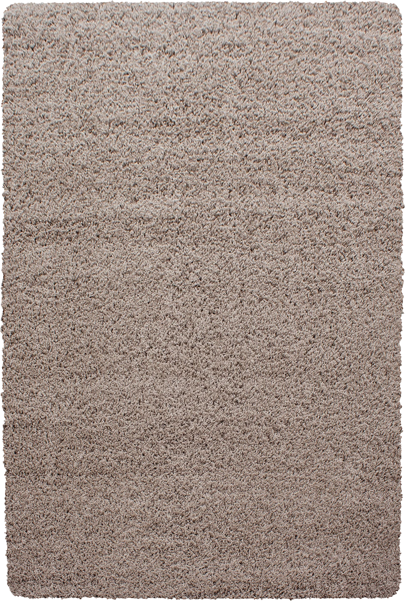 Minimalist Color Plain Cozy Shaggy | Beige