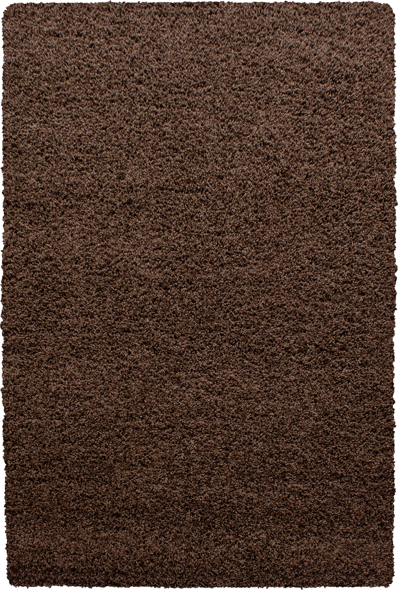 Minimalist Color Plain Cozy Shaggy | Brown