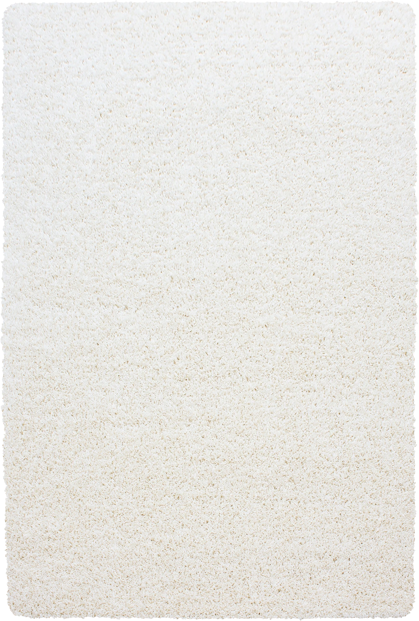 Minimalist Color Plain Cozy Shaggy | Cream