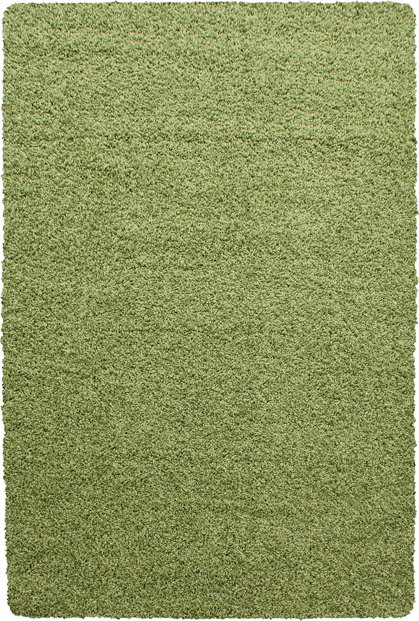 Minimalist Color Plain Cozy Shaggy | Green