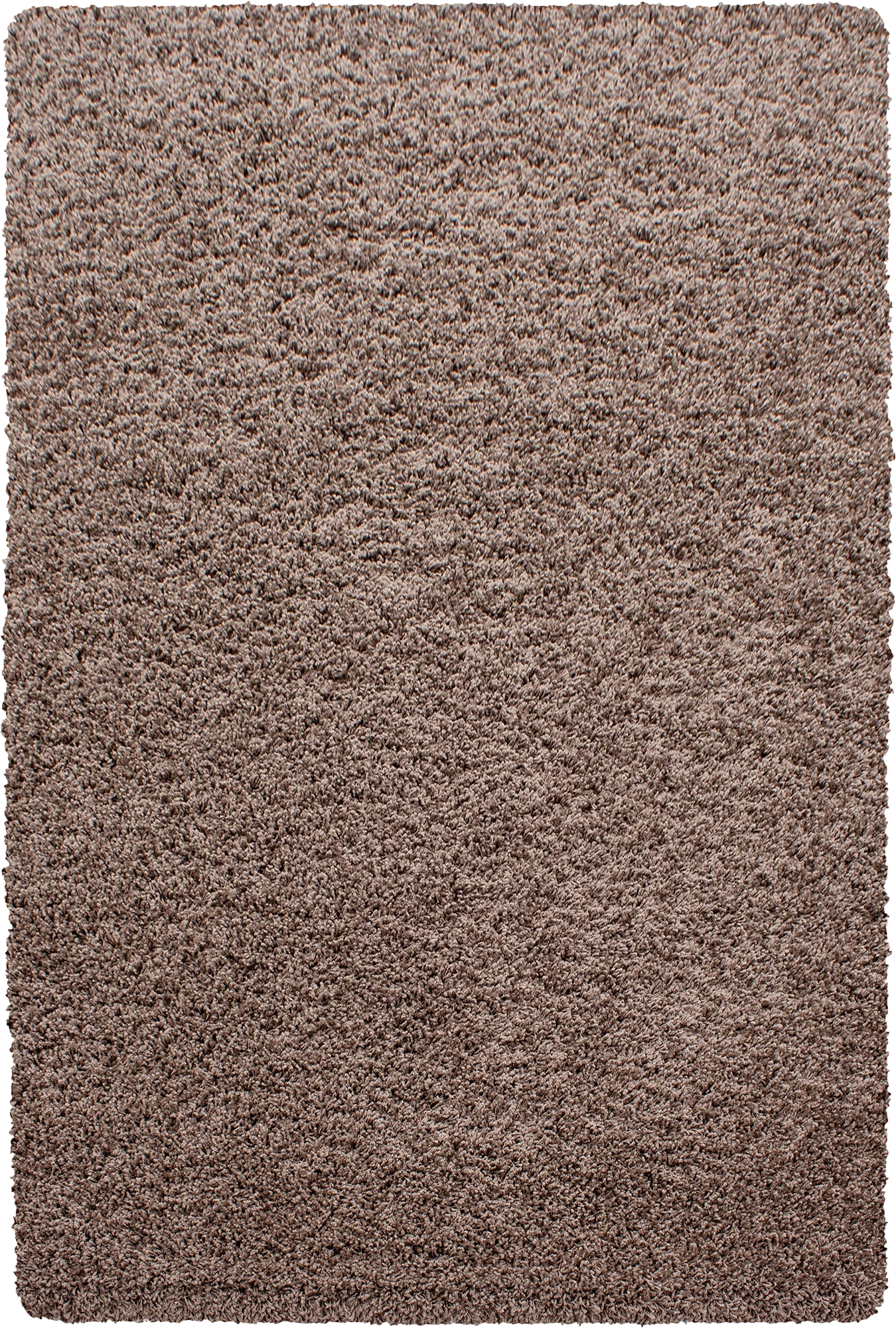 Minimalist Color Plain Cozy Shaggy | Mocha