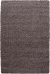 Minimalist Color Plain Cozy Shaggy | Taupe Taupe