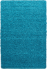 Minimalist Color Plain Cozy Shaggy | Turquoise 