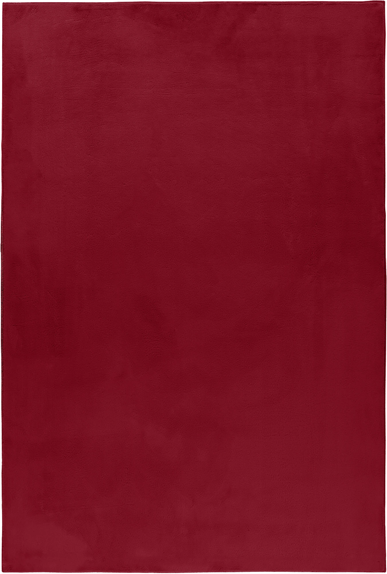 Cozy & Soft Fluffy Rug | Red