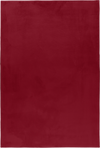 Cozy & Soft Fluffy Rug | Red Red