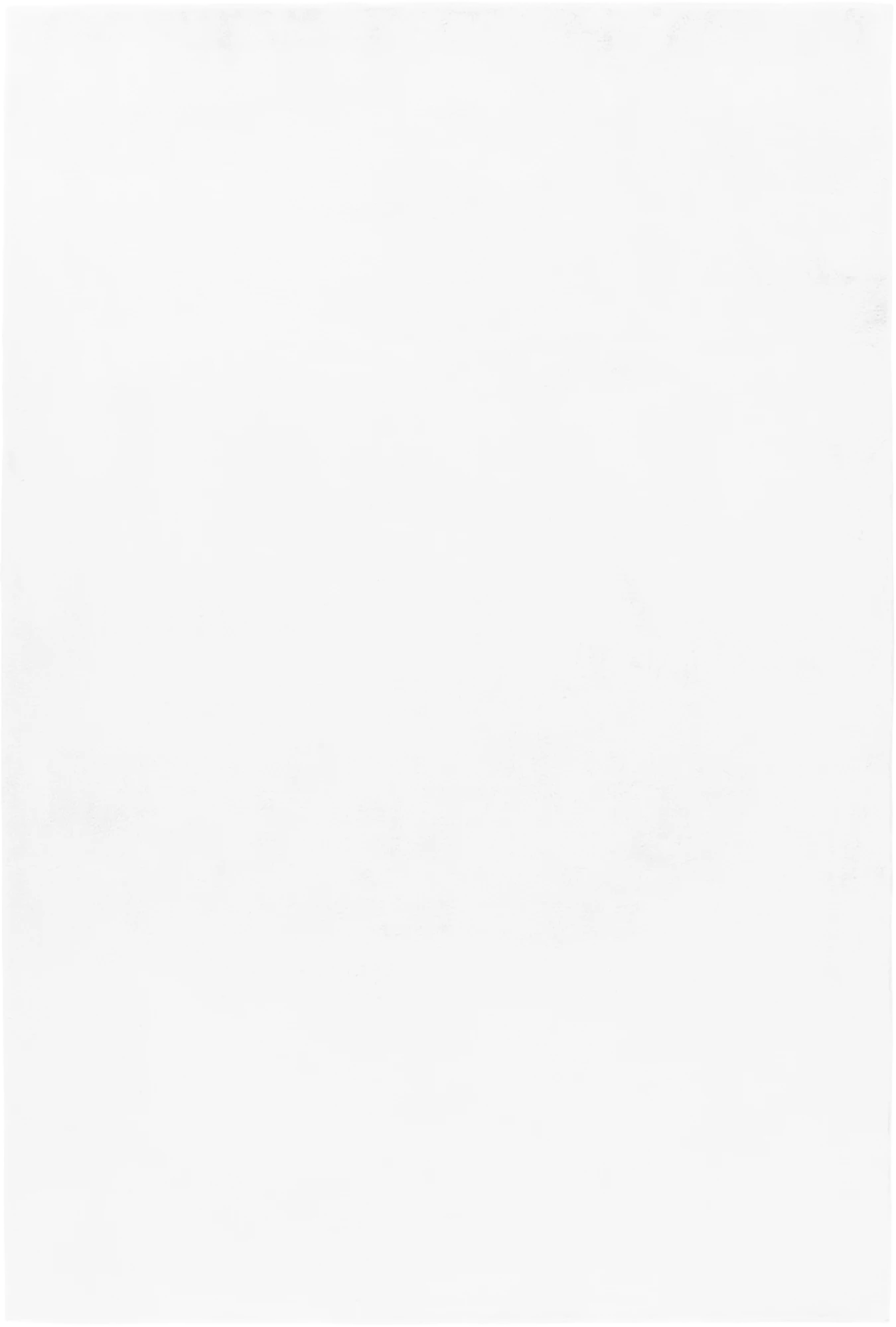 Cozy & Soft Fluffy Rug | White