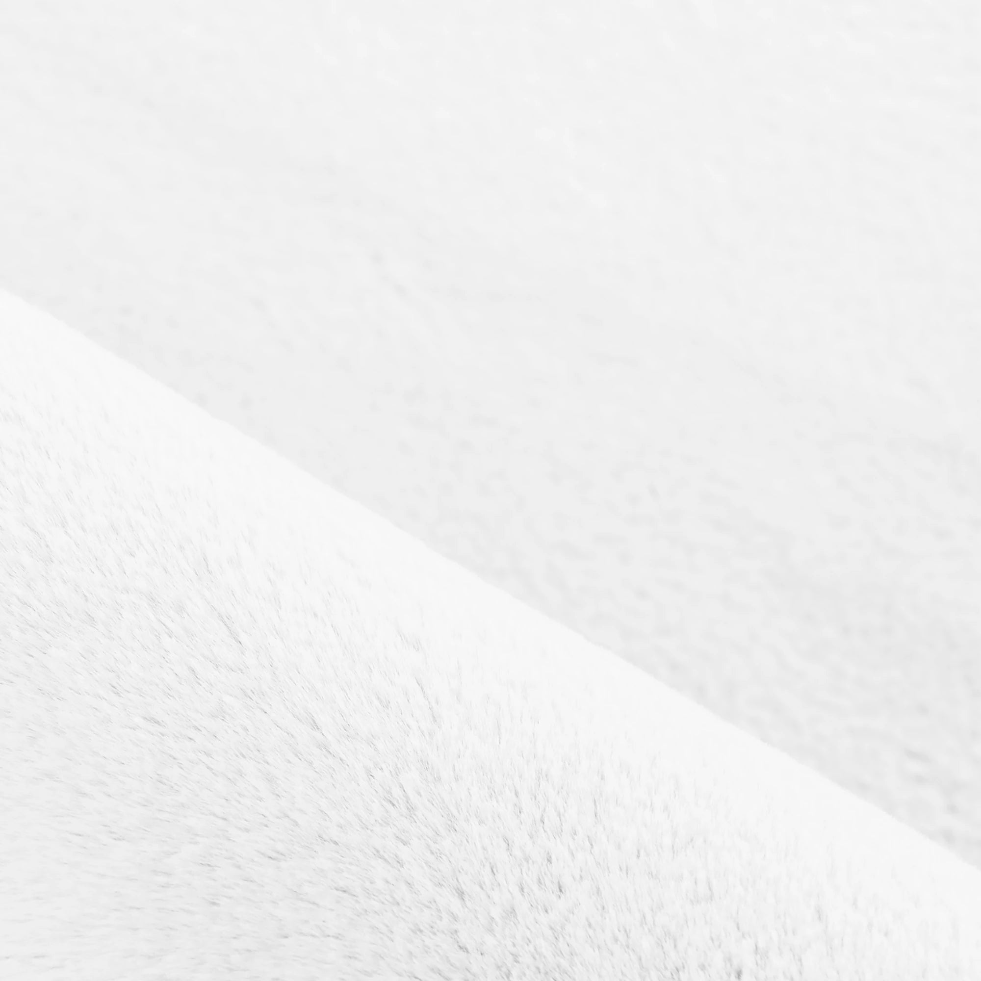 Cozy & Soft Fluffy Rug | White