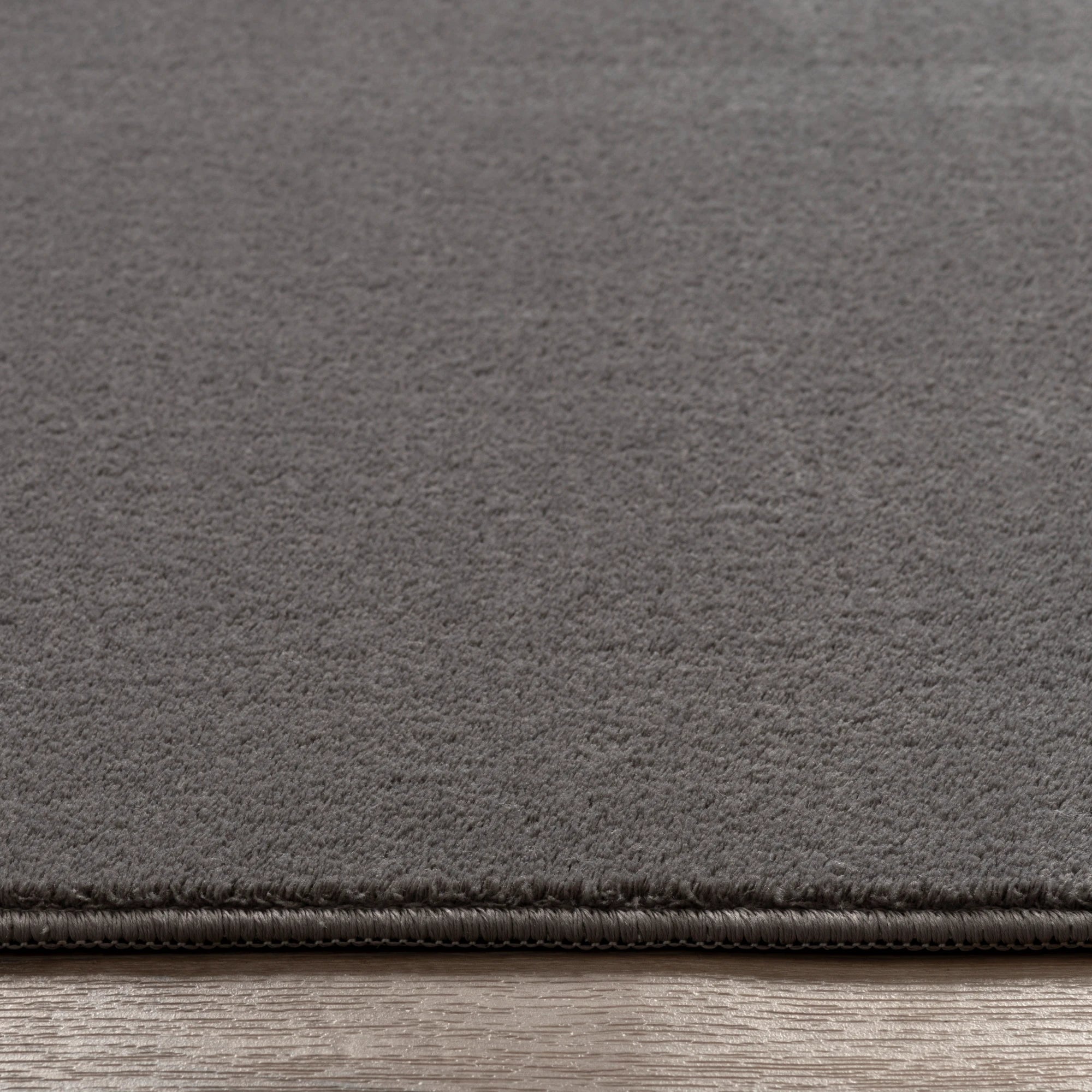 Modern Solid Gray Carpet