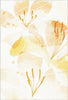 Tappeto Decorativo Floreale Acquerello Dorato 