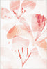Tappeto Decorativo Floreale Acquerello Rosa Morbido 