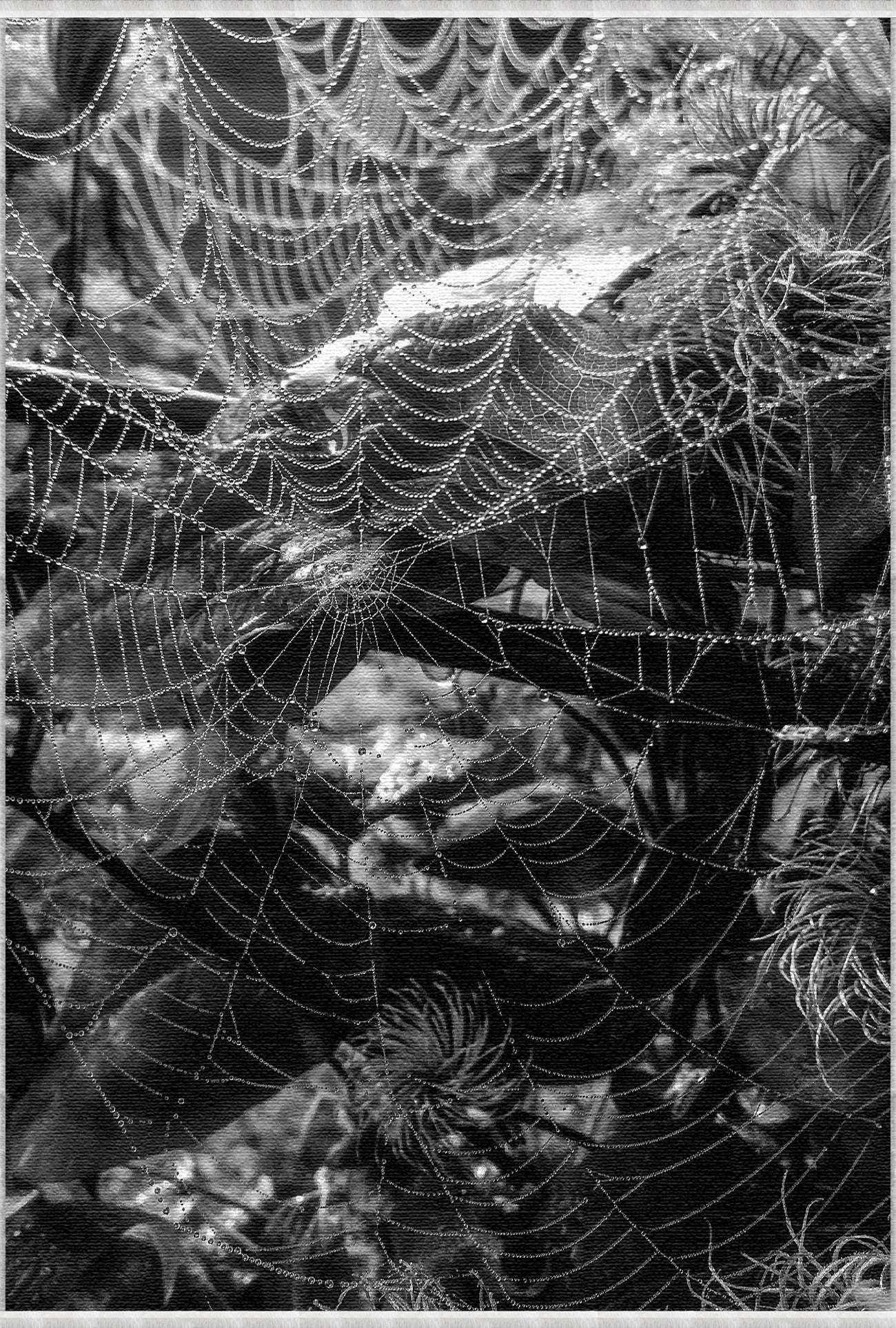 Gothic Spiderweb Halloween Rug