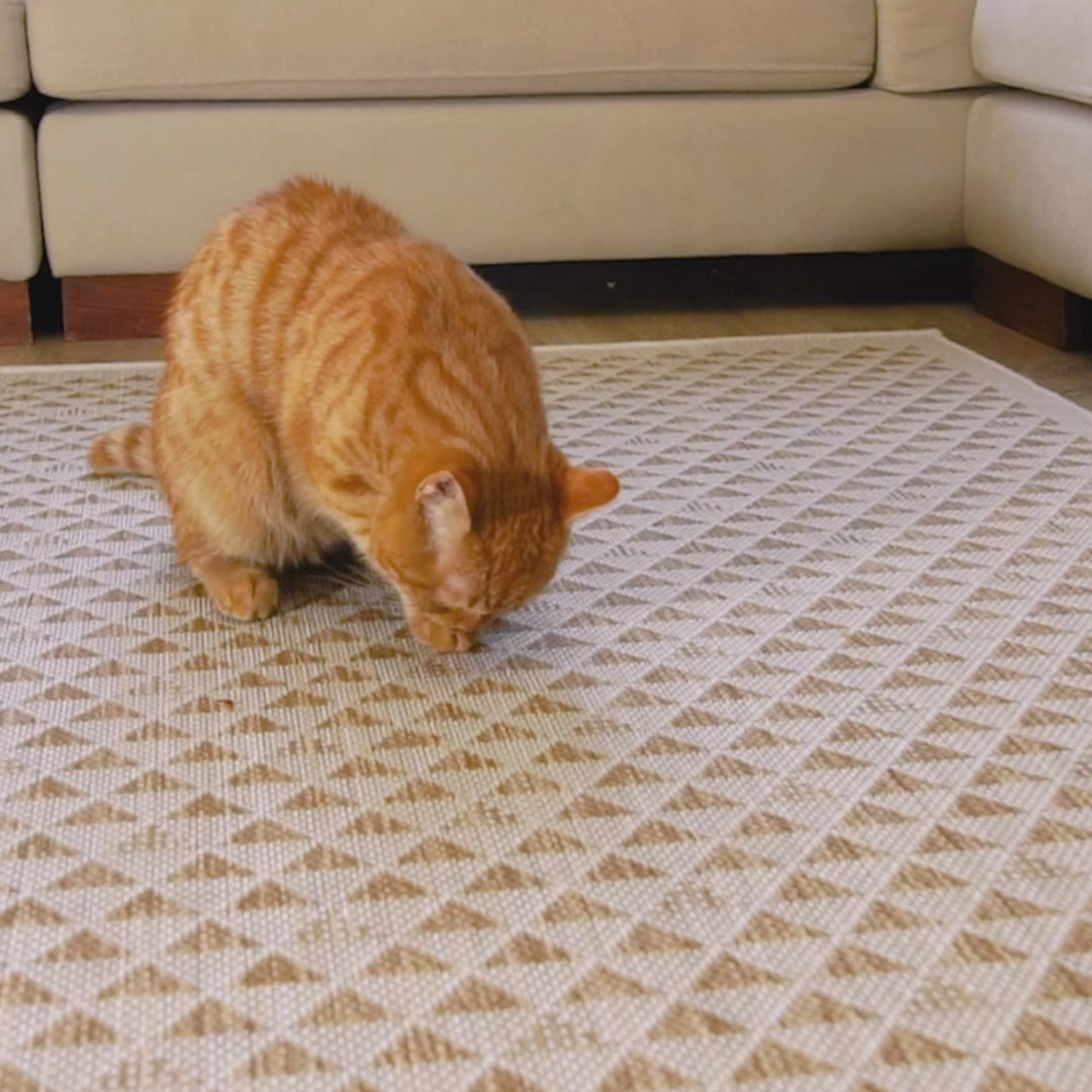 Triangle Pattern Sisal Rug Beige